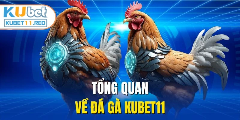 Tổng quan về đá gà KUBET11